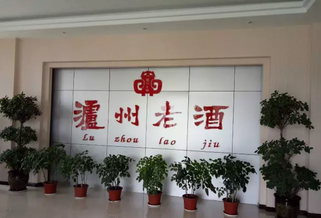 廣西謝氏宗親總會走進四川考察瀘州老酒集團等企業